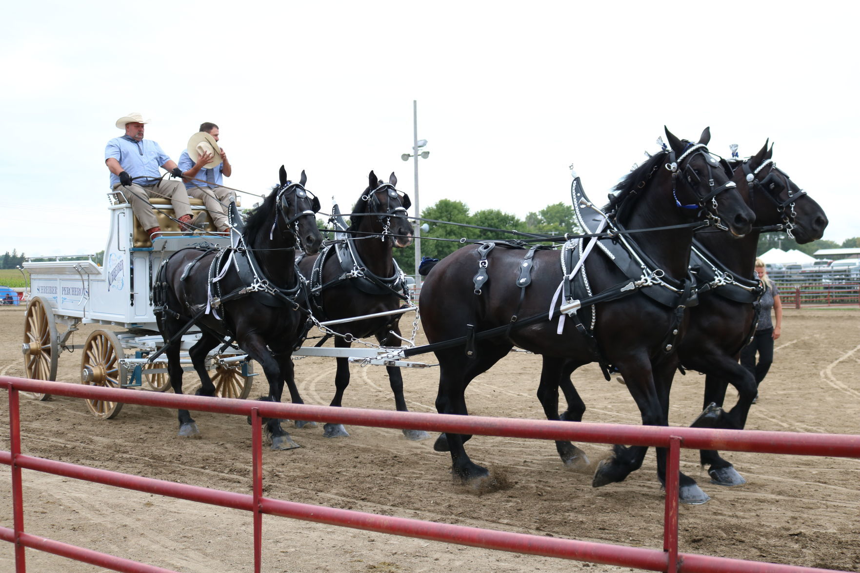 4-Horse Hitch 6